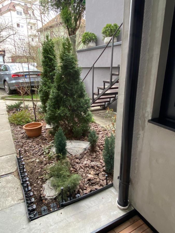 Apartment Nevena 3 贝尔格莱德 外观 照片